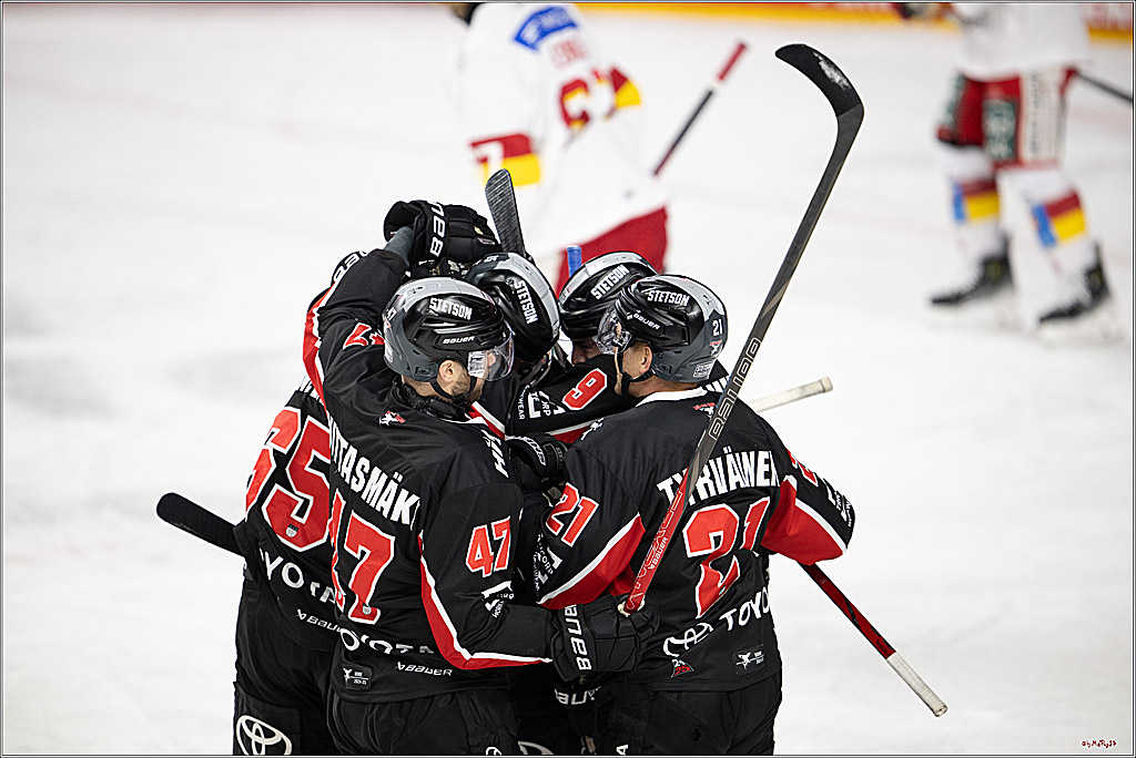 PENNY DEL 1; Kölner Haie - Düsseldorfer EG ; Köln, 16.02.2025